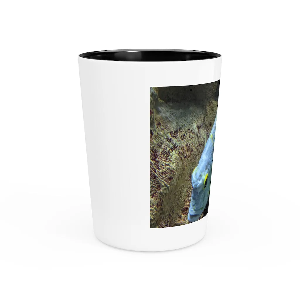 Light Blue Fish Shot Glass