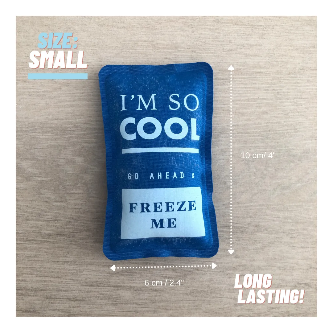 Long Lasting Ice Pack 3 PACK (sz: Small)
