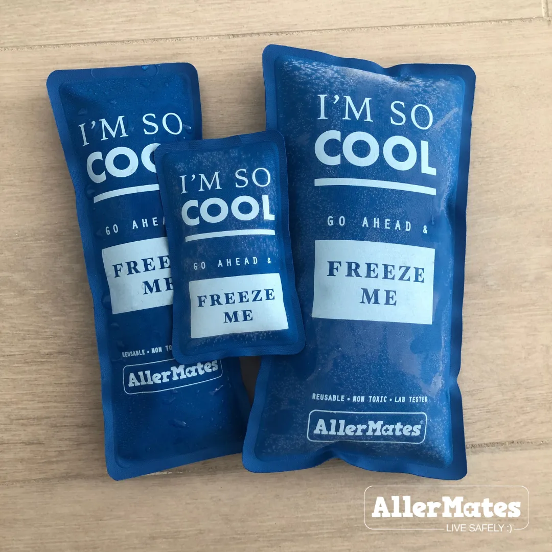 Long Lasting Ice Pack 3 PACK (sz: Small)