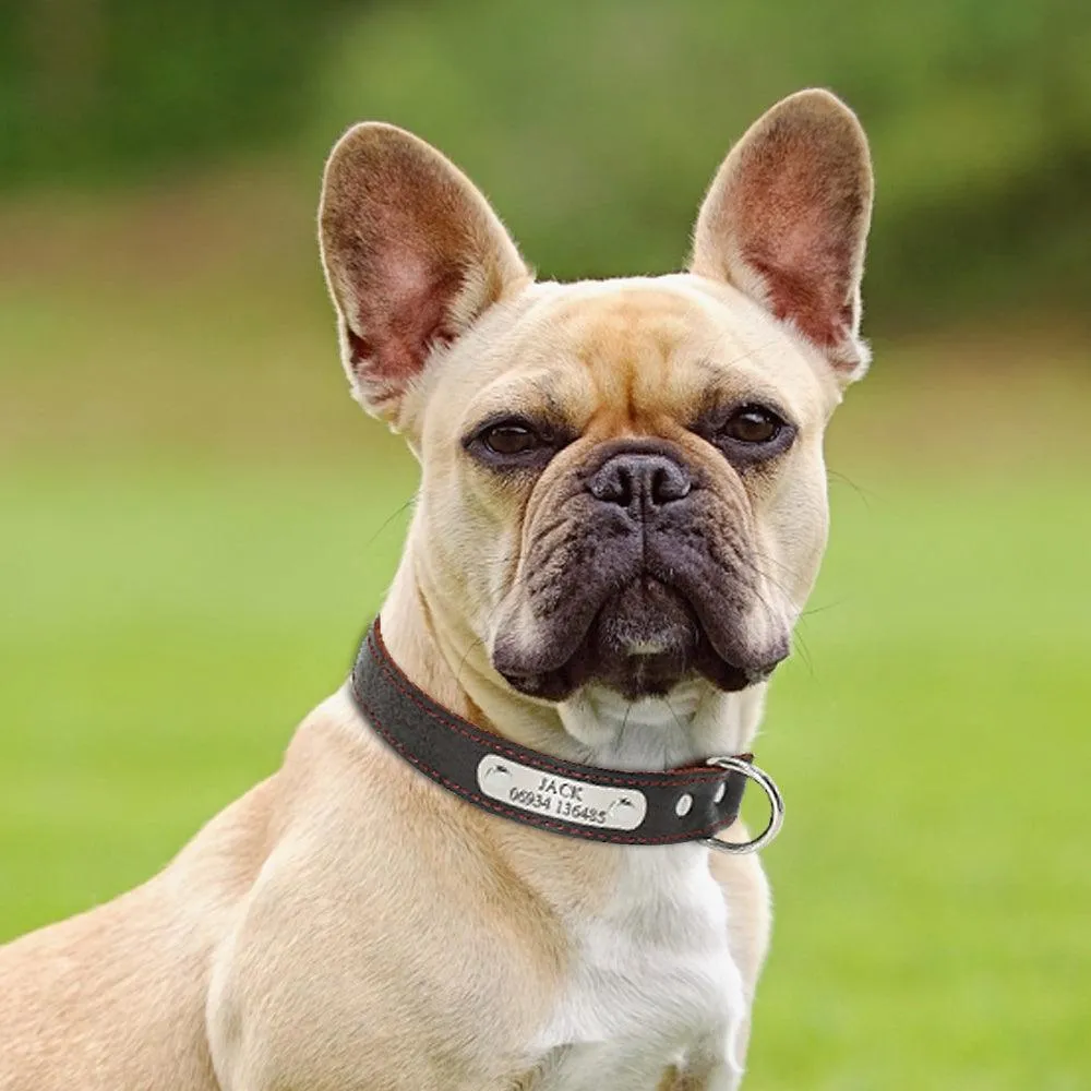 Vintage Style Leather Customizable Dog Collar